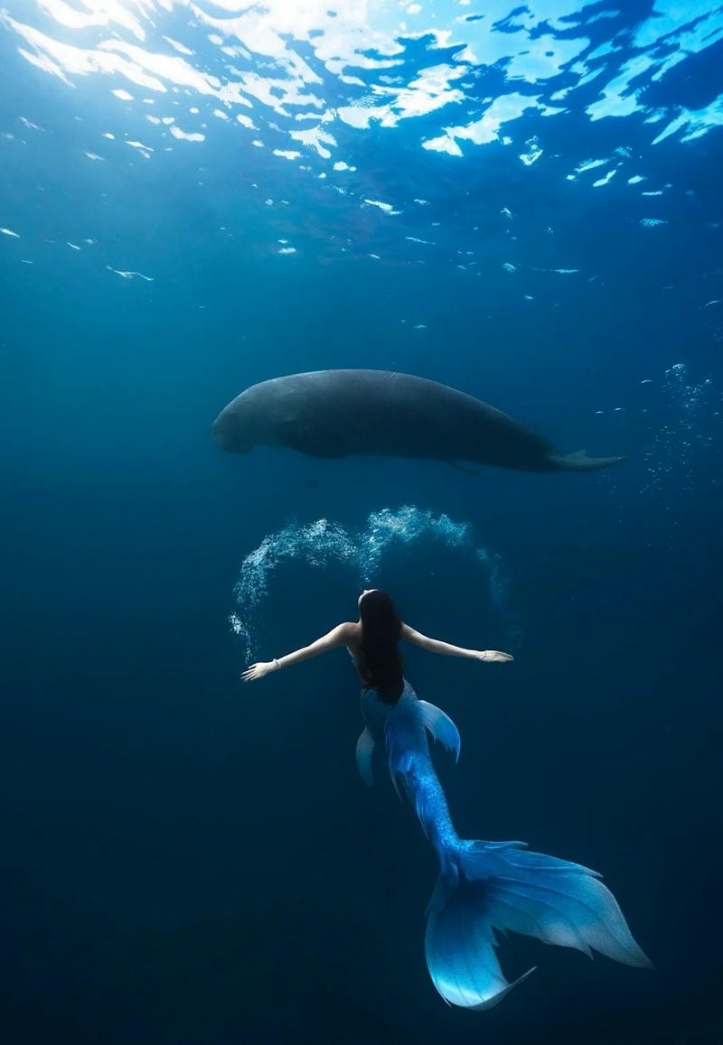 cosplay nàng tiên cá che mặt