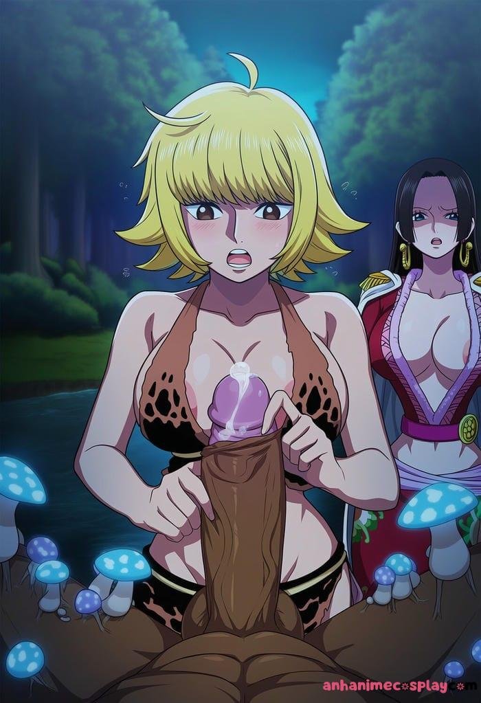 Ngắm ảnh hentai one piece nghệ thuật độc đáo và thu hút