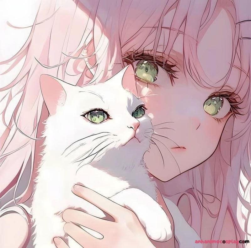 ảnh anime mèo