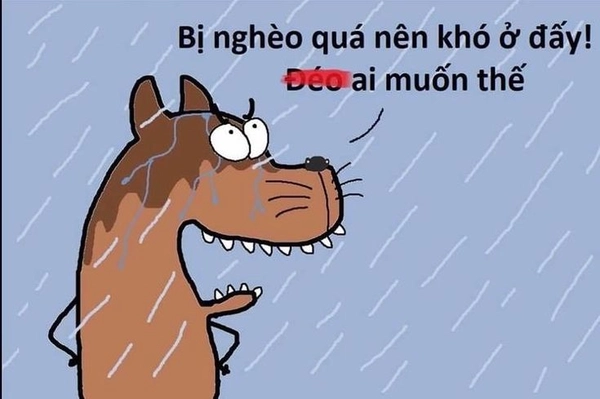 ảnh chế meme nghèo vui nhộn