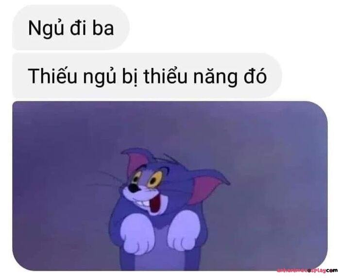 ảnh meme chúc ngủ ngon bựa nhất