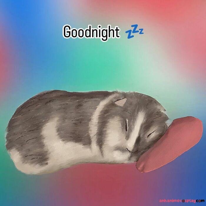 ảnh meme ngủ ngon mèo cute