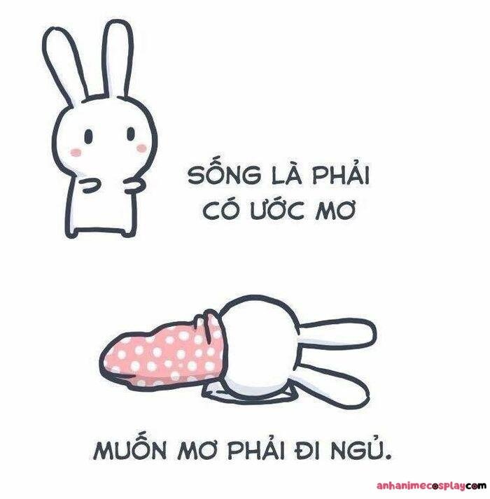 ảnh meme ngủ ngon thỏ hài
