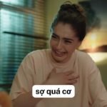 ảnh meme sợ quá chế