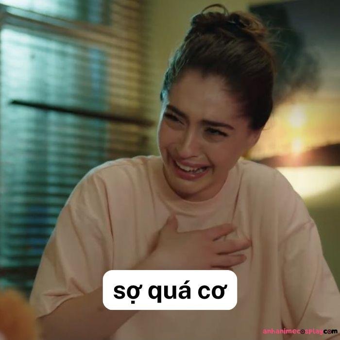 ảnh meme sợ quá chế