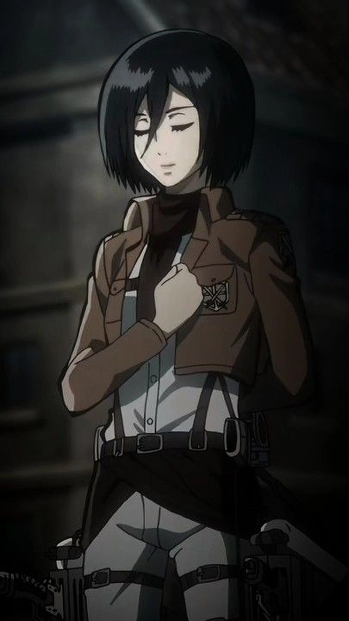 ảnh mikasa ackerman nổi bật trên mạng