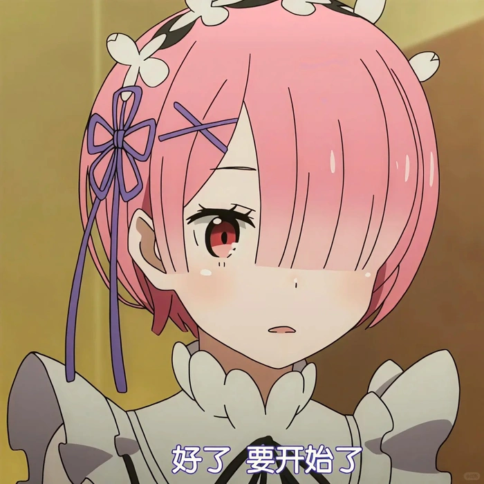 ảnh ram rezero chất