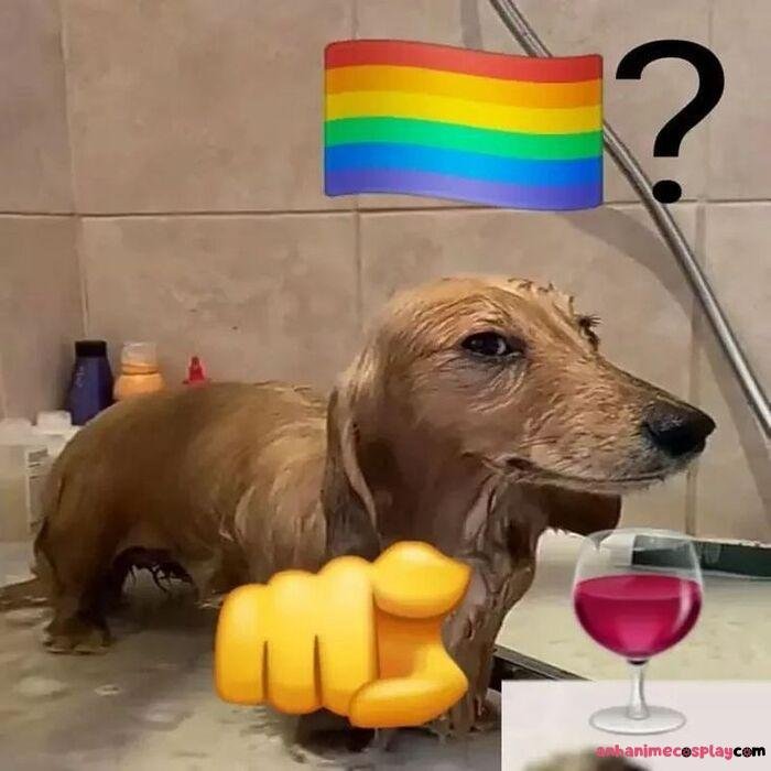 ảnh sẽ gầy meme chó