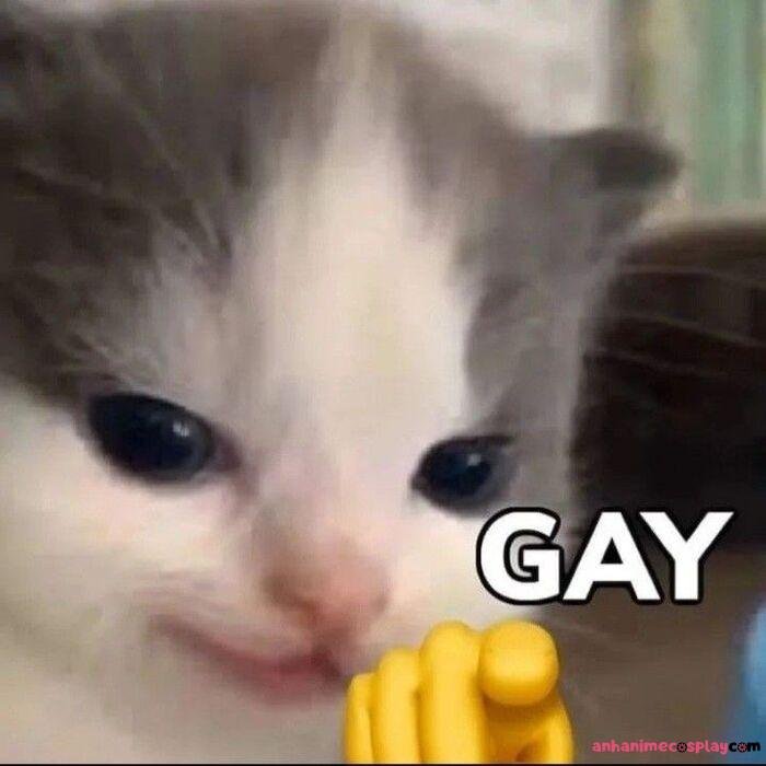 ảnh sẽ gầy meme lgbt hài nhất