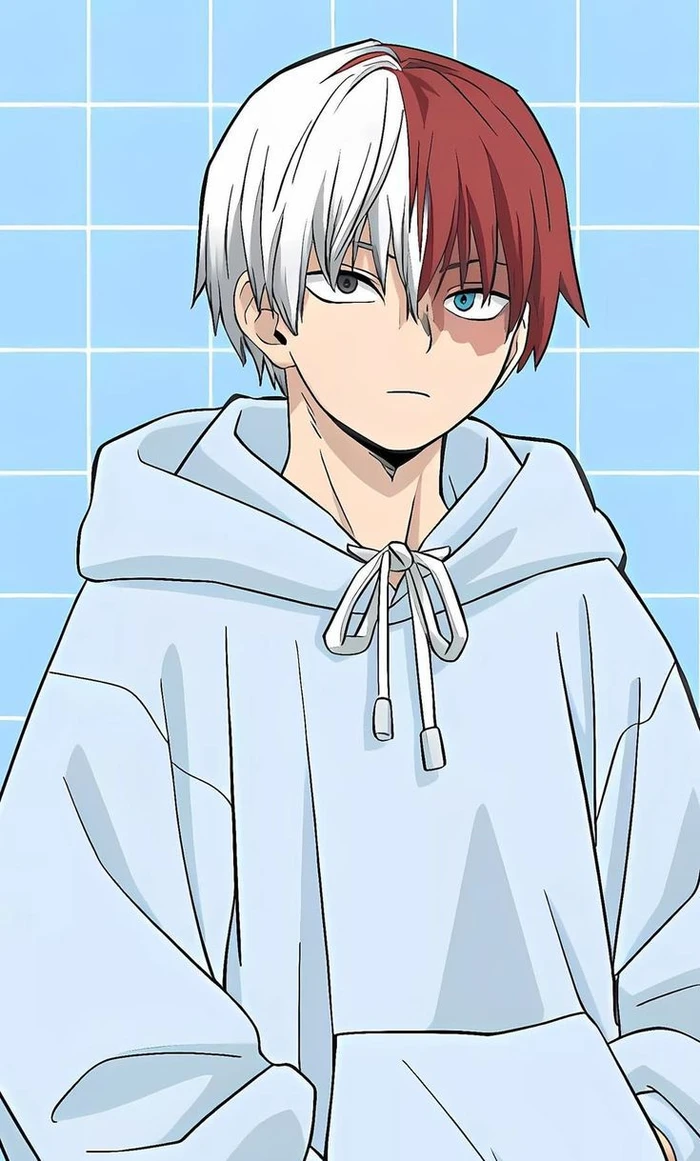 ảnh shoto todoroki đẹp