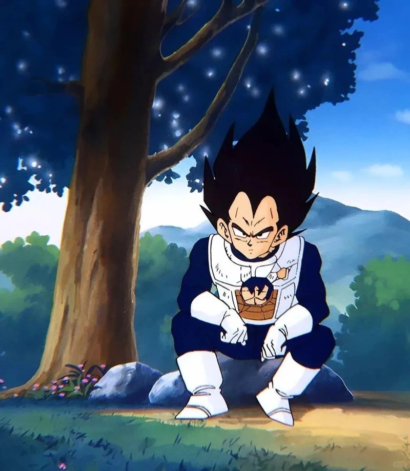 ảnh vegeta anime mới nhất