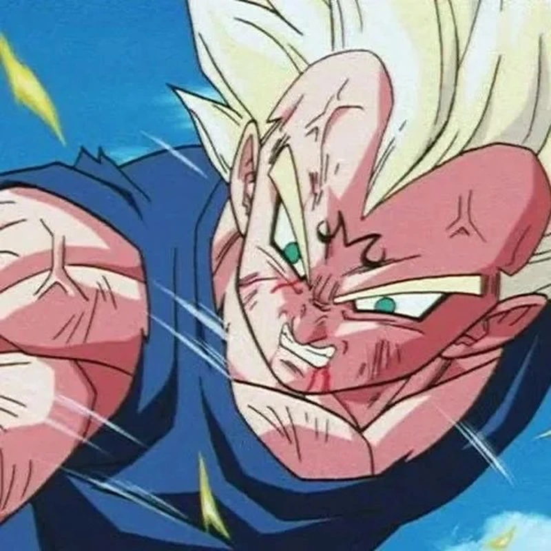 ảnh vegeta cực bá đạo