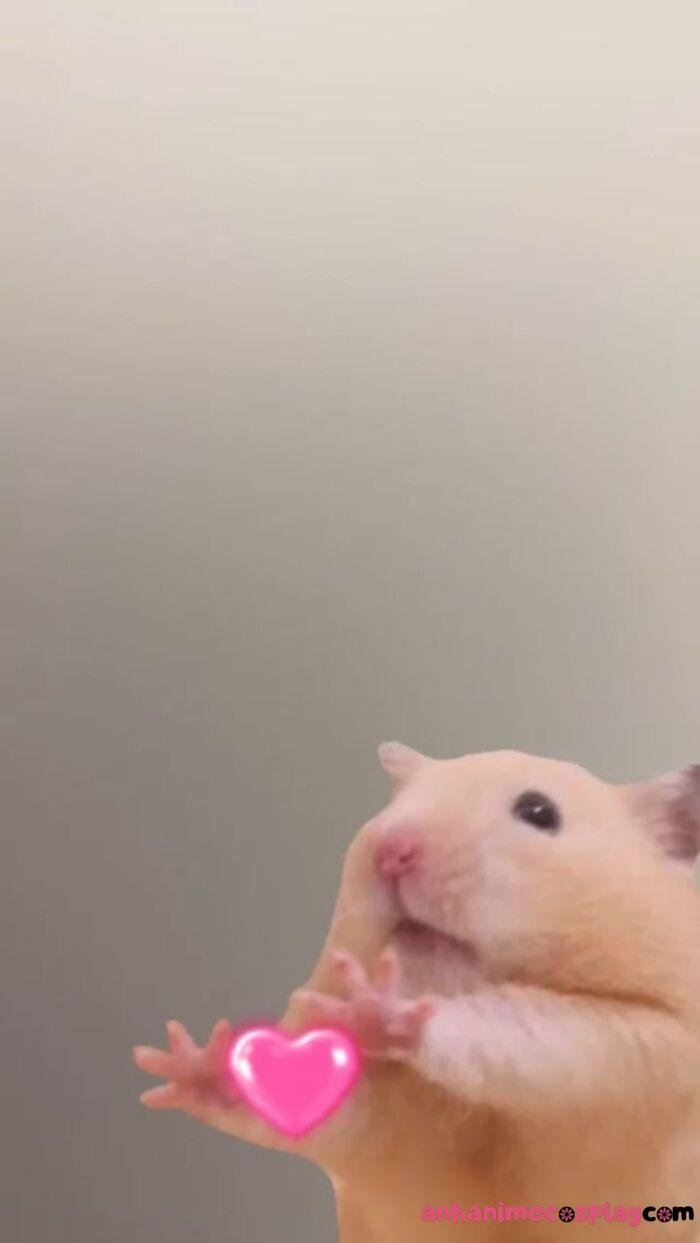 bbc32518642b59278cb42c902fbb39c4