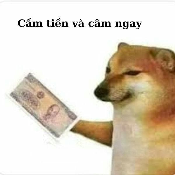 cầm lấy tiền mà biến đi
