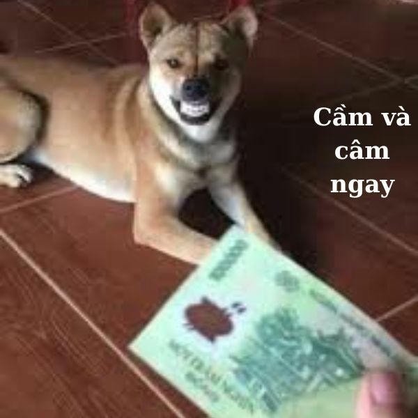cầm ngay 100k và câm