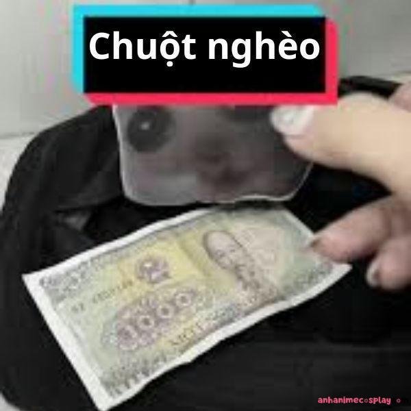 chuột nghèo