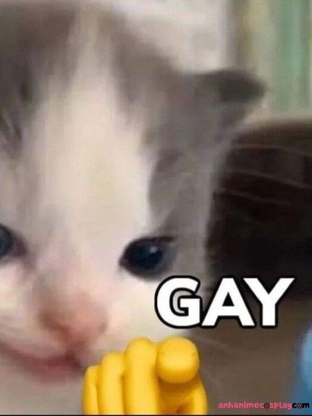 Tuyển tập 227+ ảnh sẽ gầy meme hài hước và cực kì lầy lội