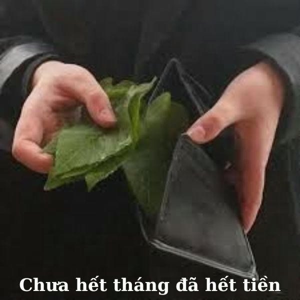 hình ảnh meme hết tiền hài