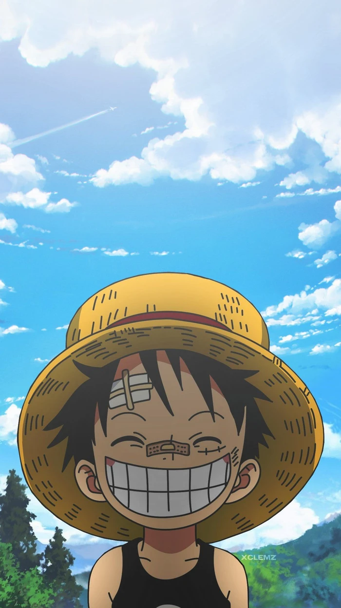 hình luffy chất