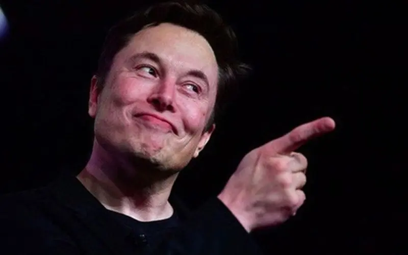 hình meme chỉ tay elon musk