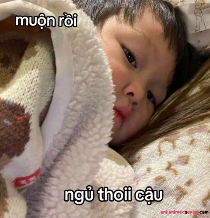 hình meme chúc ngủ ngon em bé