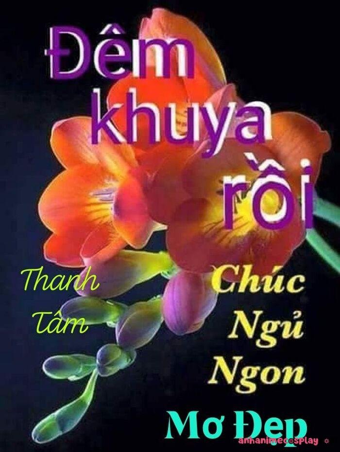 hình meme chúc ngủ ngon hài
