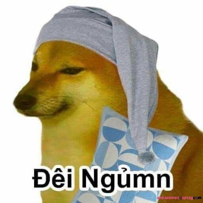 hình meme chúc ngủ ngon shiba