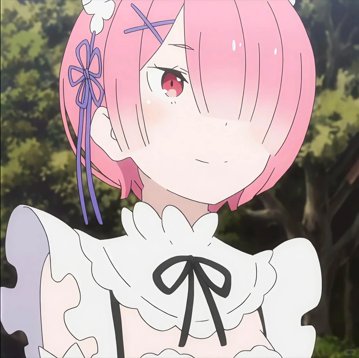 hình ram anime chất