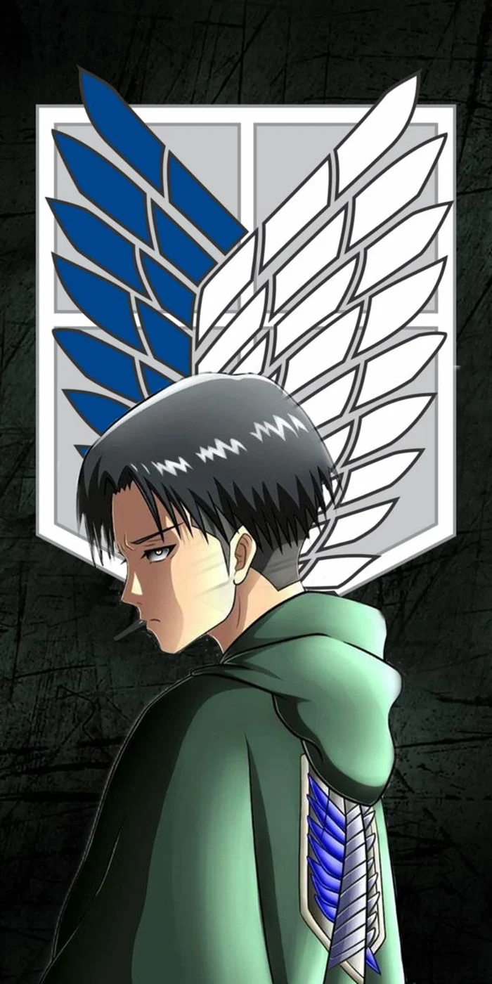 levi ackerman biểu cảm lạnh lùng