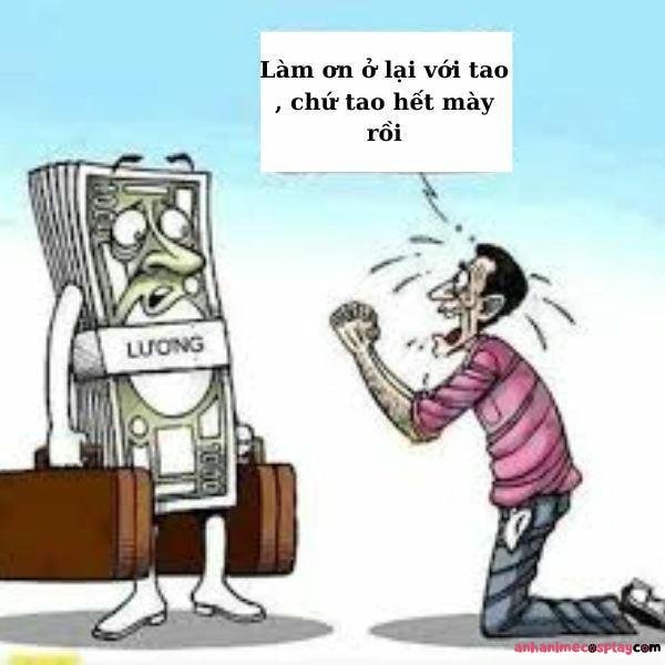meme hết tiền cực hài