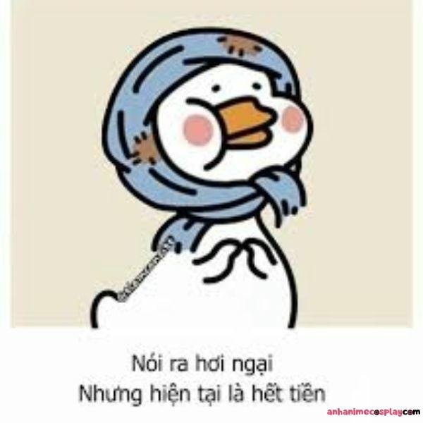meme hết tiền hài