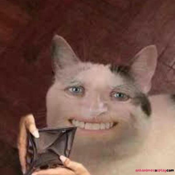 meme hết tiềnnh g