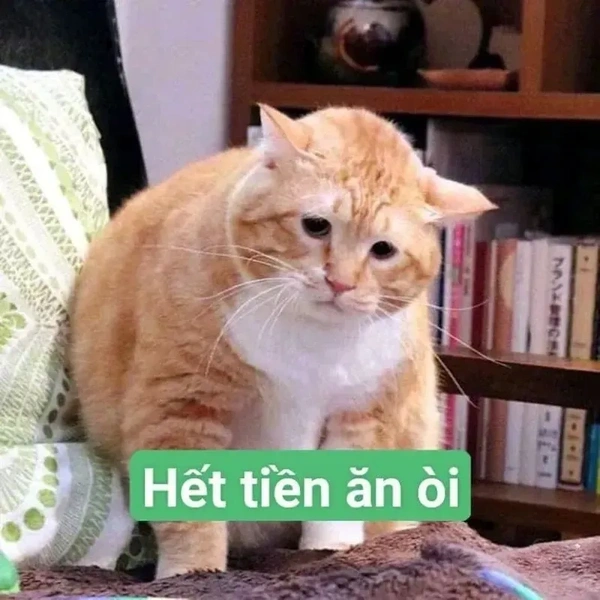 meme nghèo siêu vui