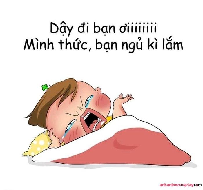 meme ngủ ngon chế