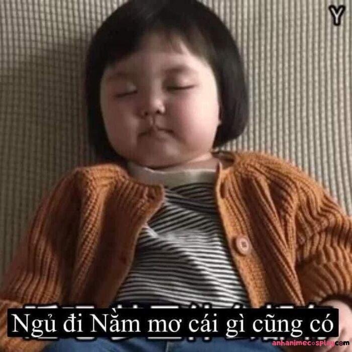 meme ngủ ngon em bé