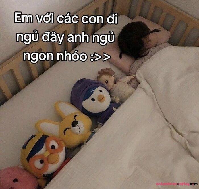 meme ngủ ngon thú bông