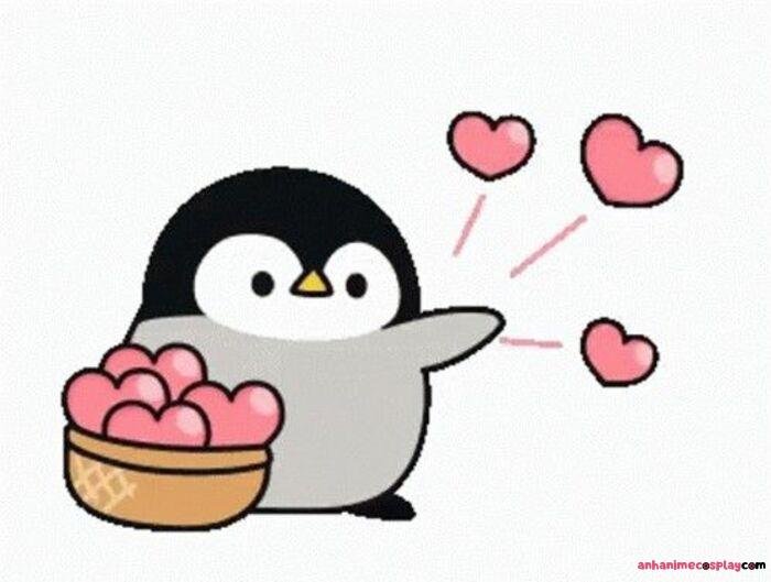 meme thả tim chim cánh cụt