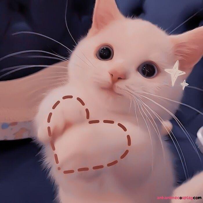 meme thả tim mèo yêu