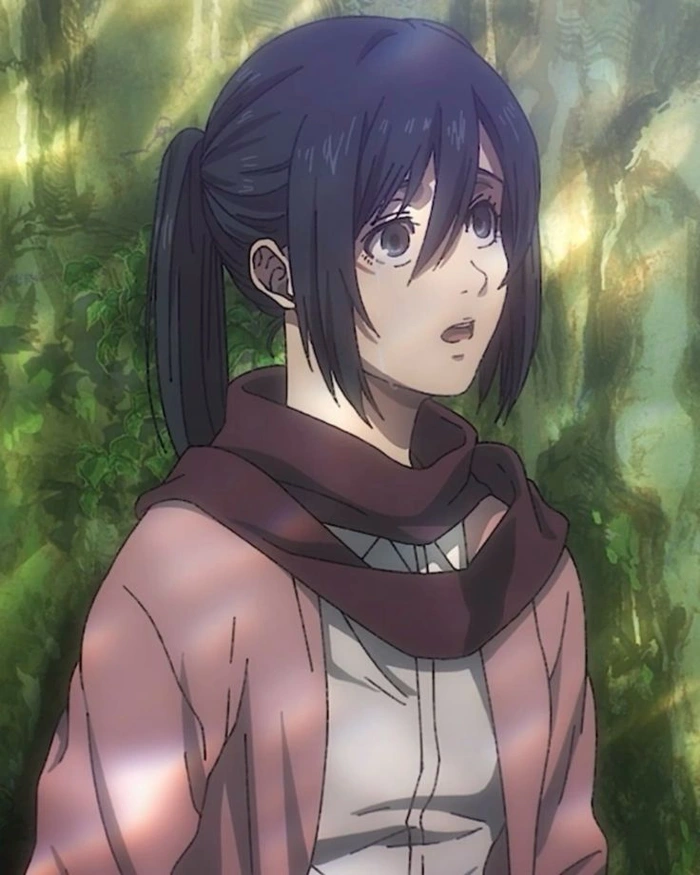 mikasa ackerman nhân vật được yêu mến