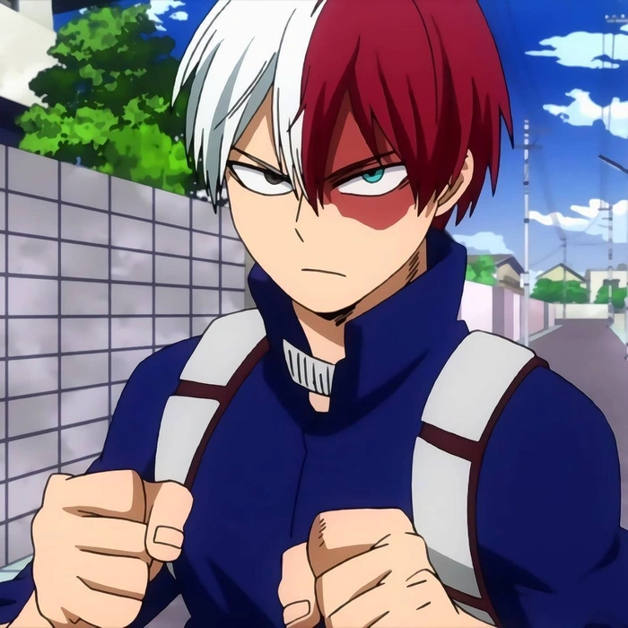 shoto todoroki anime đình đám