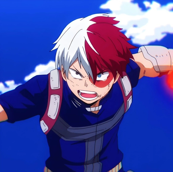 shoto todoroki anime hành động