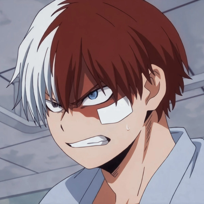 shoto todoroki anime nổi tiếng toàn cầu
