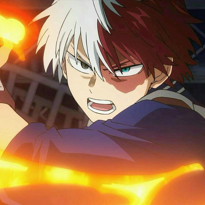shoto todoroki anime