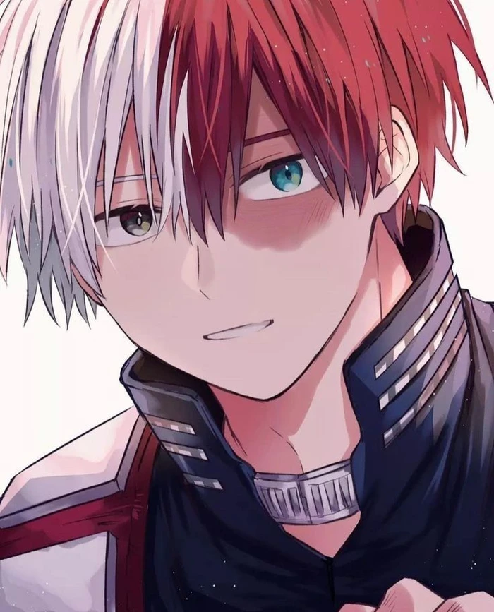 shoto todoroki my hero academia