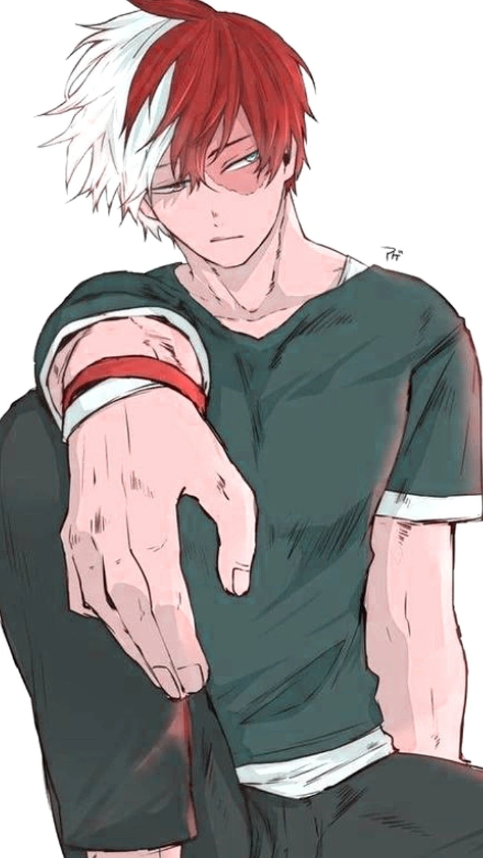 shoto todoroki nhân vật nổi bật