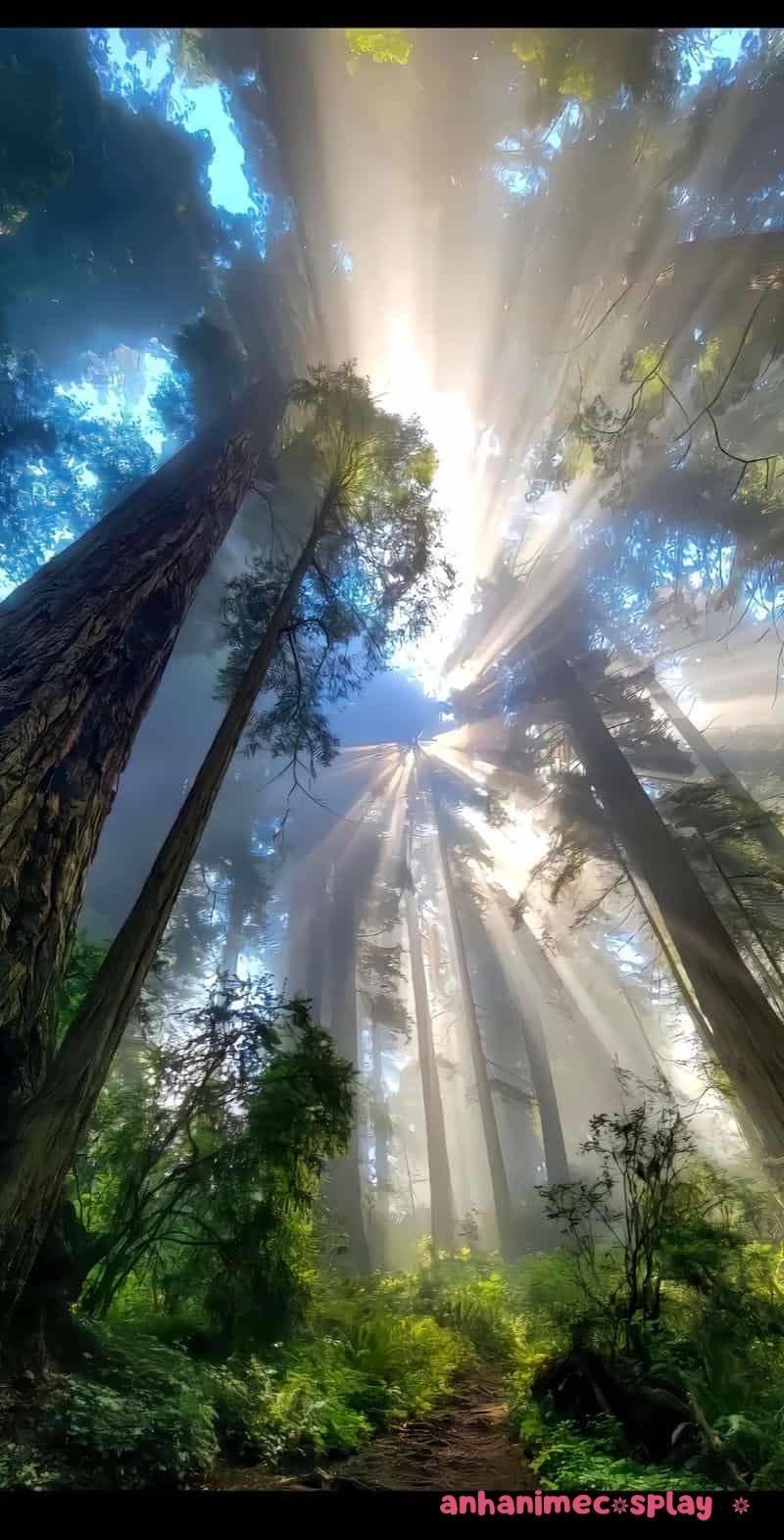 thiên nhiên anime rừng
