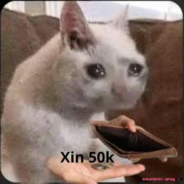 xin 50k