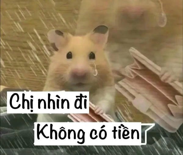 meme nghèo cậu nhìn đi