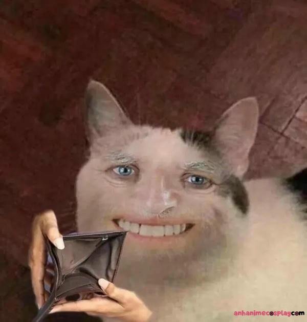 mèo cầm ví rỗng