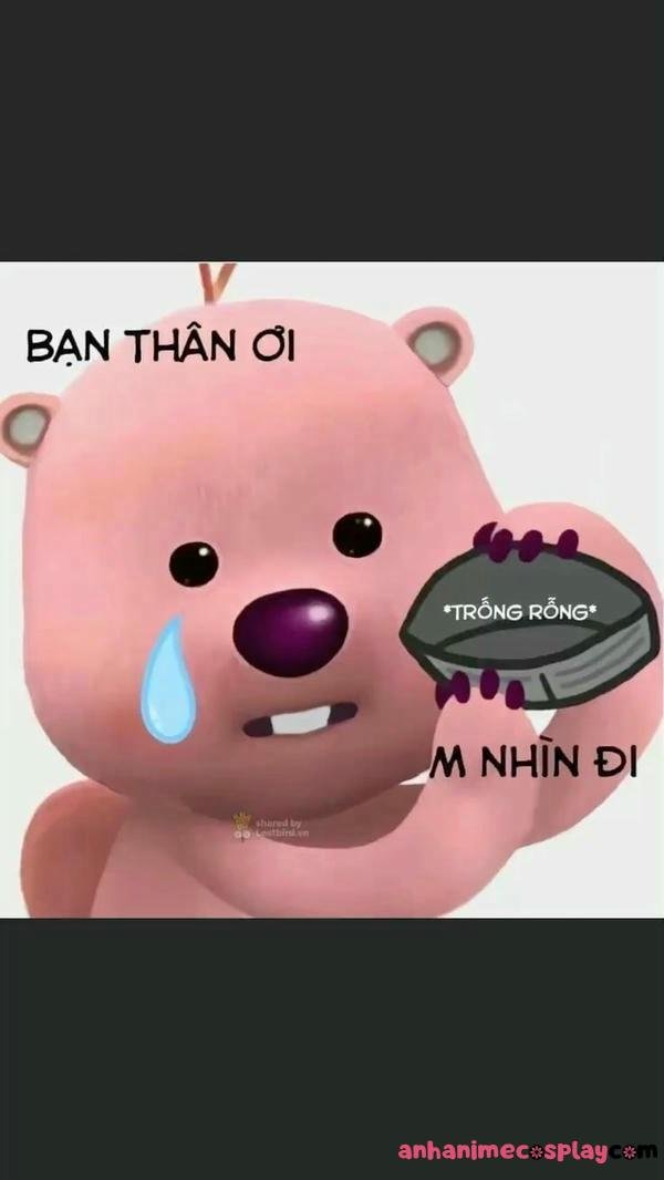 ví rỗng meme gấu hồng